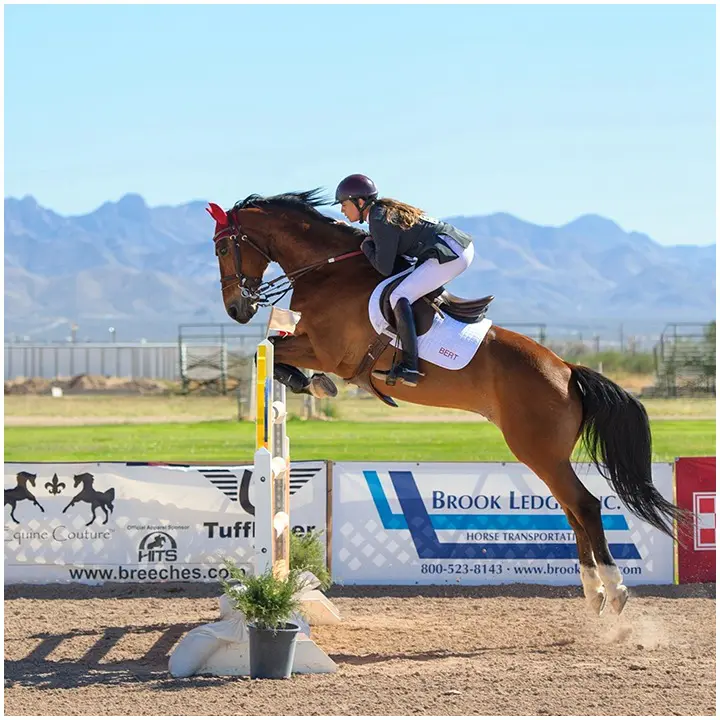 Horse with rider jumping over hurdle