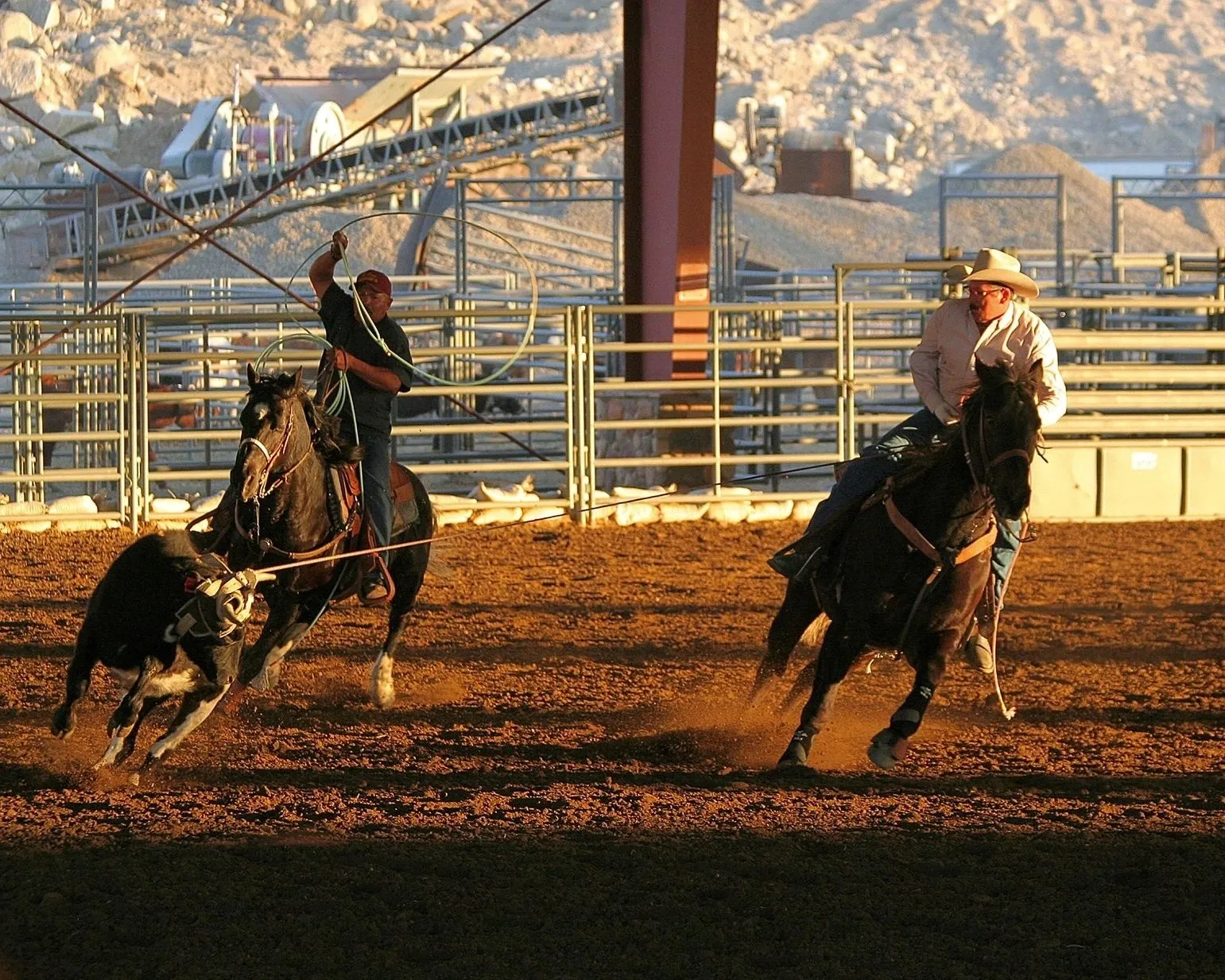 Two people, horse riding and catching a bull with ropes