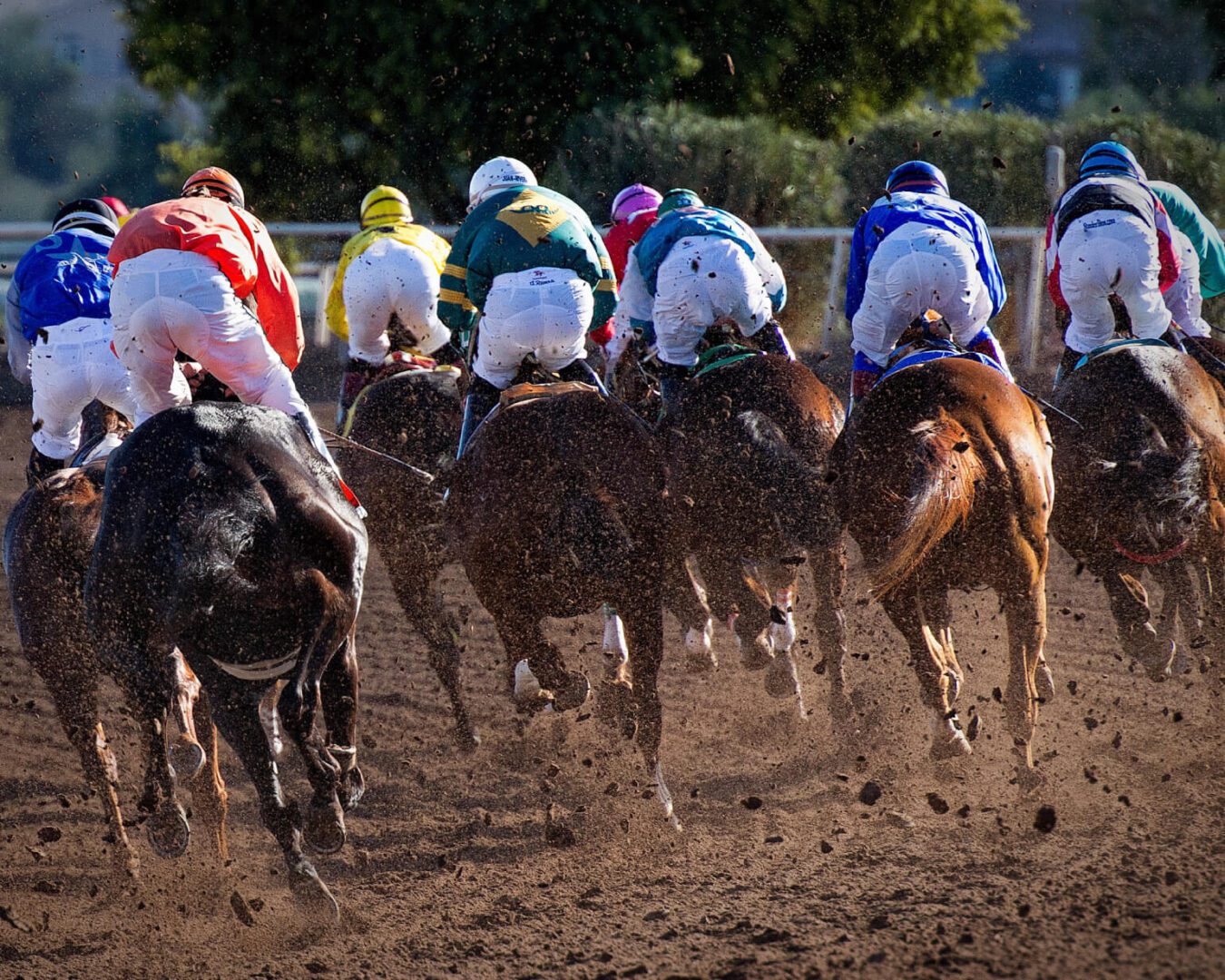 So many people doing a horse race in a field